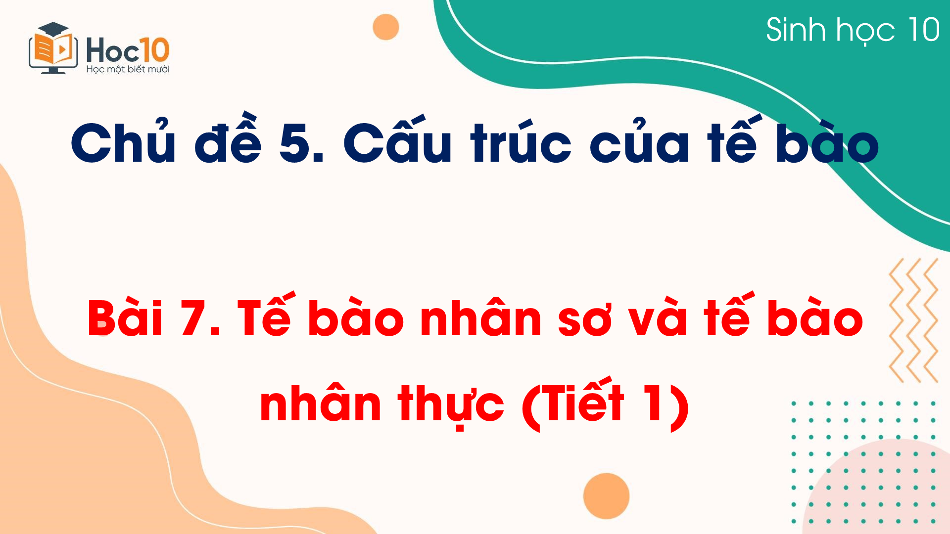 Bài 7 Tế bào nhân sơ và tế bào nhân thực (Tiết 1)